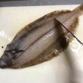 柳カレイの刺身 レシピ 作り方 By まゆぱとら 楽天レシピ 柳カレイの刺身 レシピ 作り方 By まゆぱとら 楽天レシピ